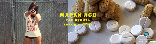 гашик Нея
