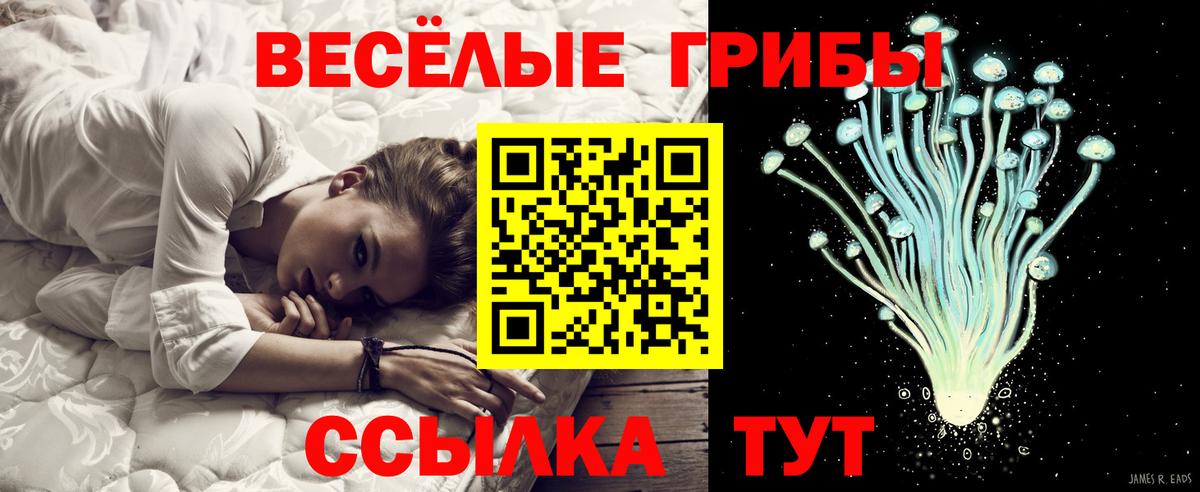 Псилоцибиновые грибы Psilocybe  Вход с VPN  где продают наркотики  Сердобск  Псилоцибиновые грибы ЛСД 
